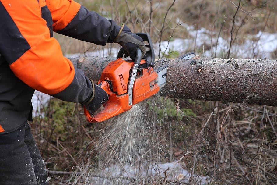 forest, tree, off, chainsaw, logger, six, working, occupation HD wallpaper