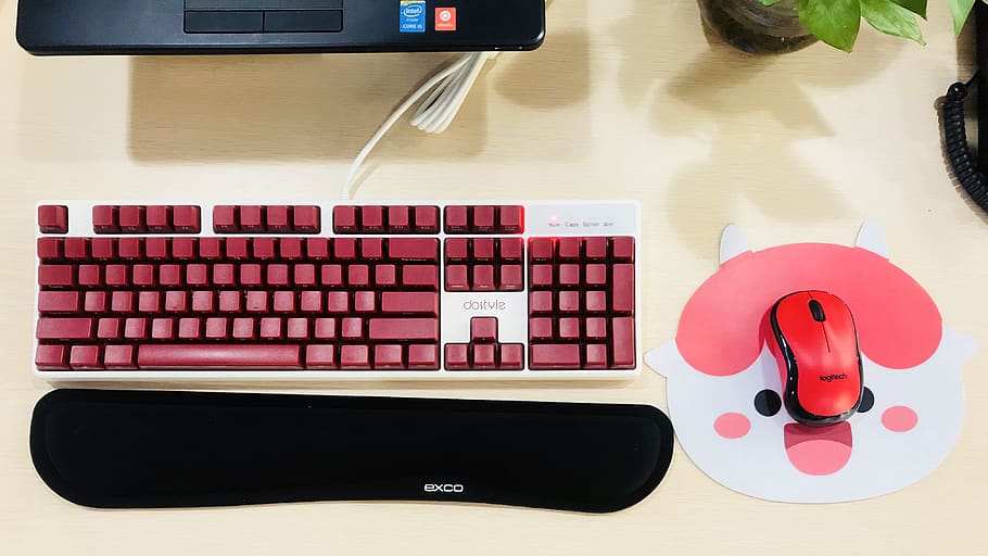 office, mouse, keyboard, technology, computer equipment, indoors HD wallpaper