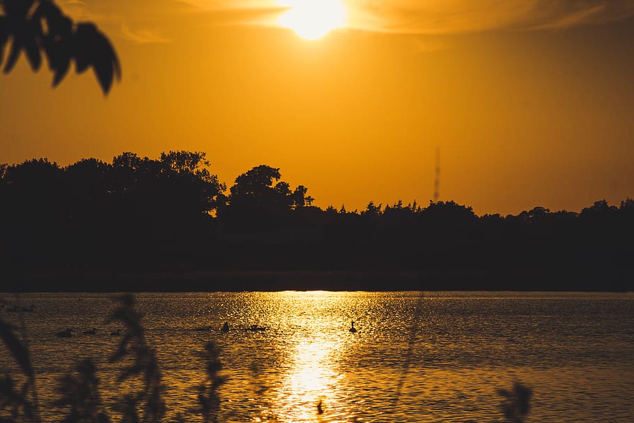 sunset, nature, ducks, yellow, yellow sunset, water, lake, landscape HD wallpaper