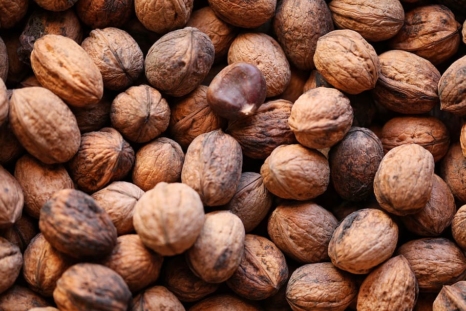 brown walnuts, food and drink, nut - food, full frame, backgrounds HD wallpaper