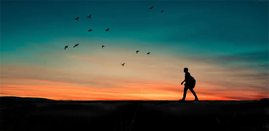 Silhouette of Person Walking, action, backlit, beach, dawn, evening HD wallpaper