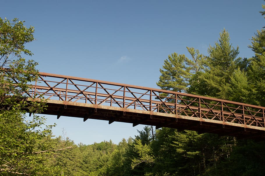 road, bridge, way, building, overpass, plant, tree, highway HD wallpaper