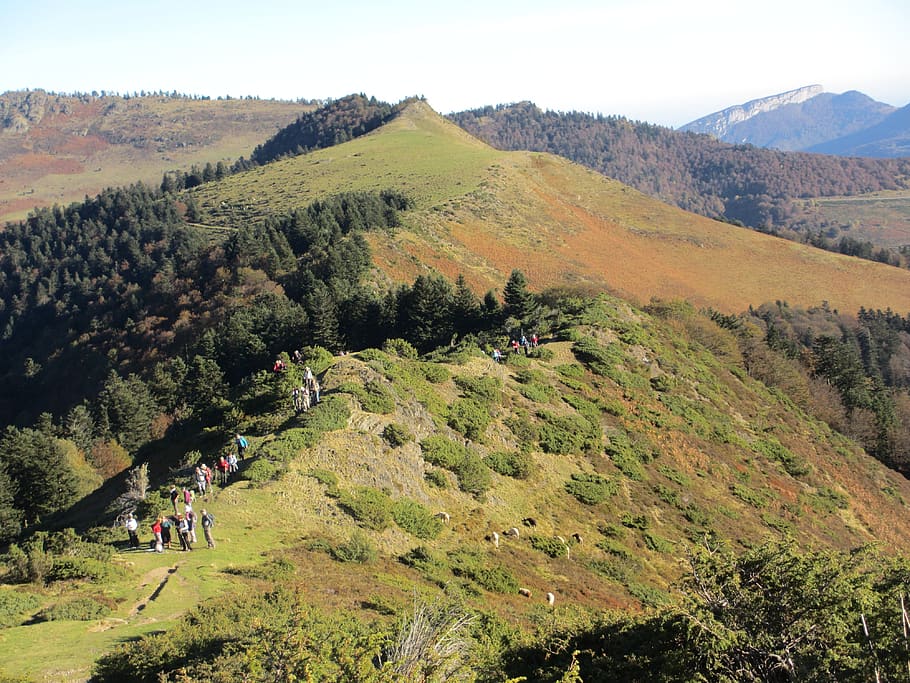 forest, payolle, pyrénées, mountain, group of people, scenics - nature HD wallpaper
