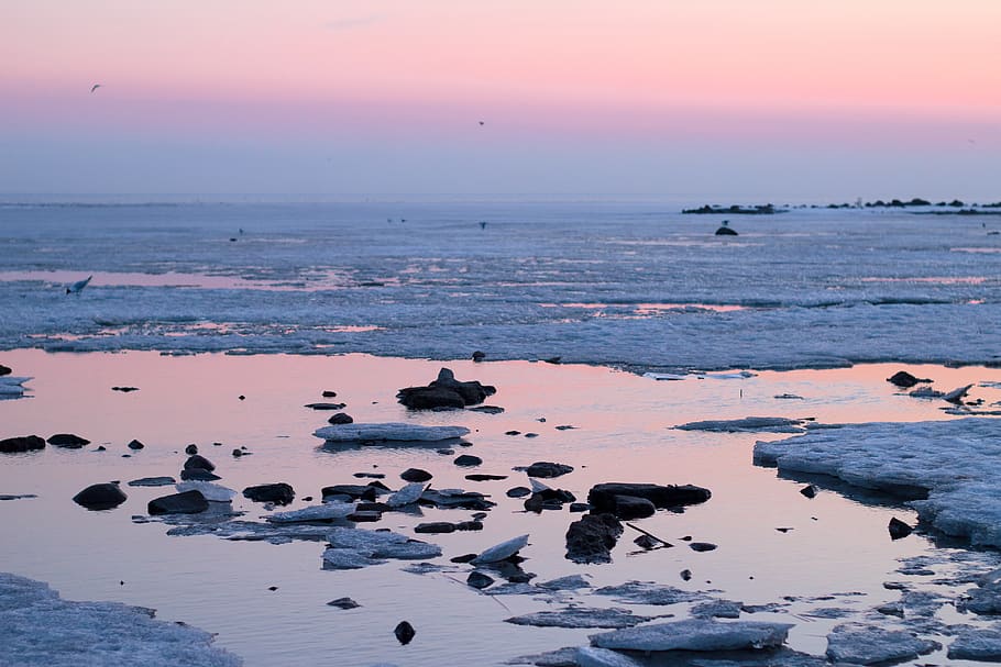 View of an Icy Beach, blue, dawn, dusk, evening, frozen, landscape HD wallpaper