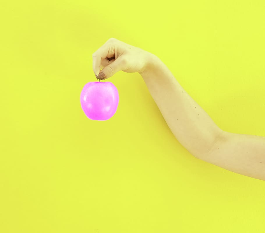 Person Holding Purple Apple Fruit, bright, color, concept, cute HD wallpaper