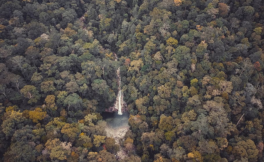 Bird's Eye View of Waterfall in Dense Forest, environment, high HD wallpaper
