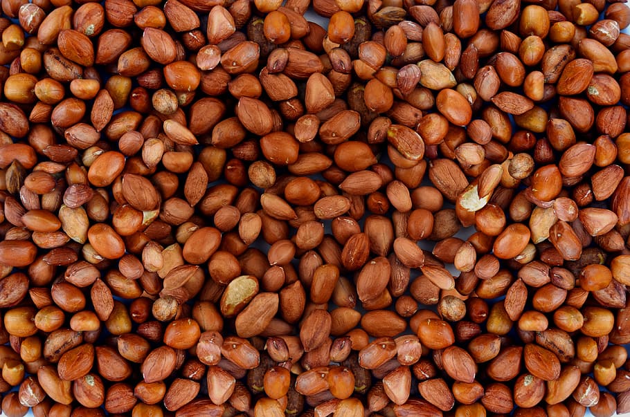 peanut, nuts, food, delicious, snack, eat, healthy, tasty, nutrition HD wallpaper
