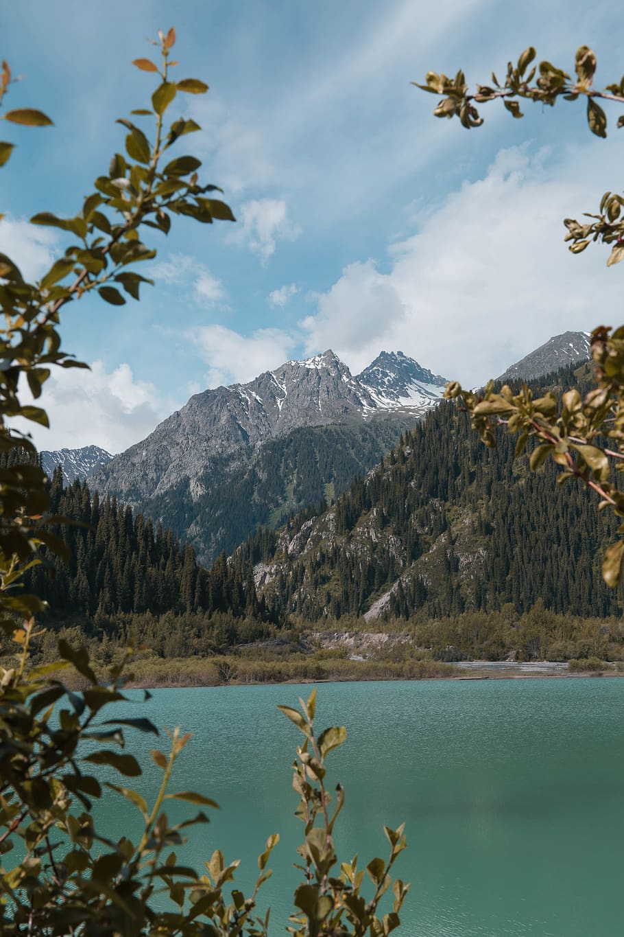 Body of Water Near Mountains Near Trees, daylight, forest, ice HD wallpaper