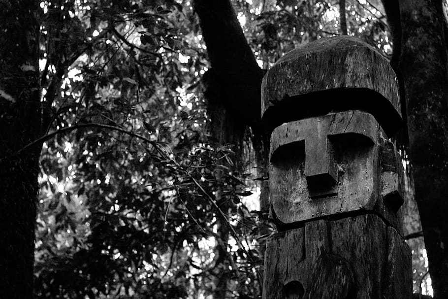plant, tree, building, architecture, tree stump, pillar, column HD wallpaper