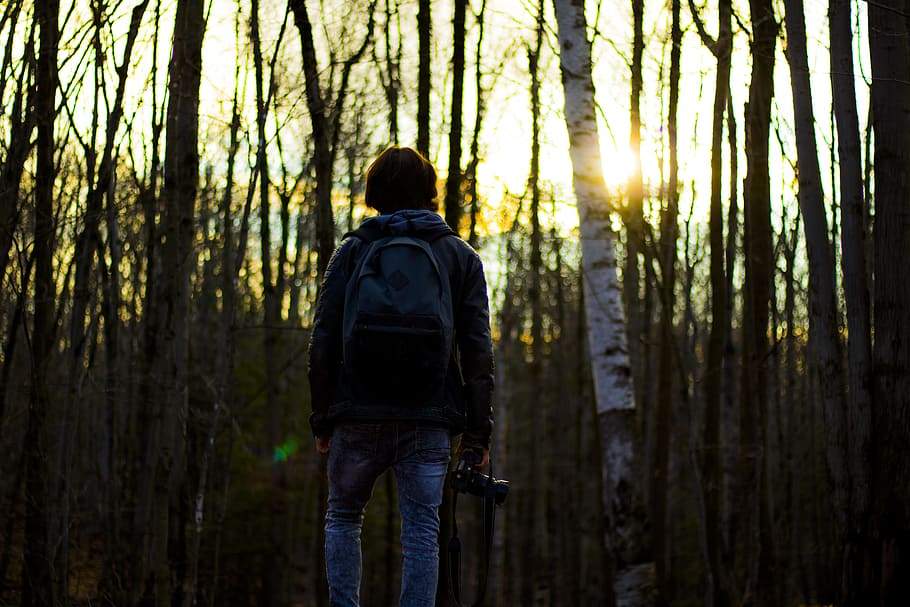 Person in Gray Jacket Wearing Backpack in Forest, backlit, camera HD wallpaper