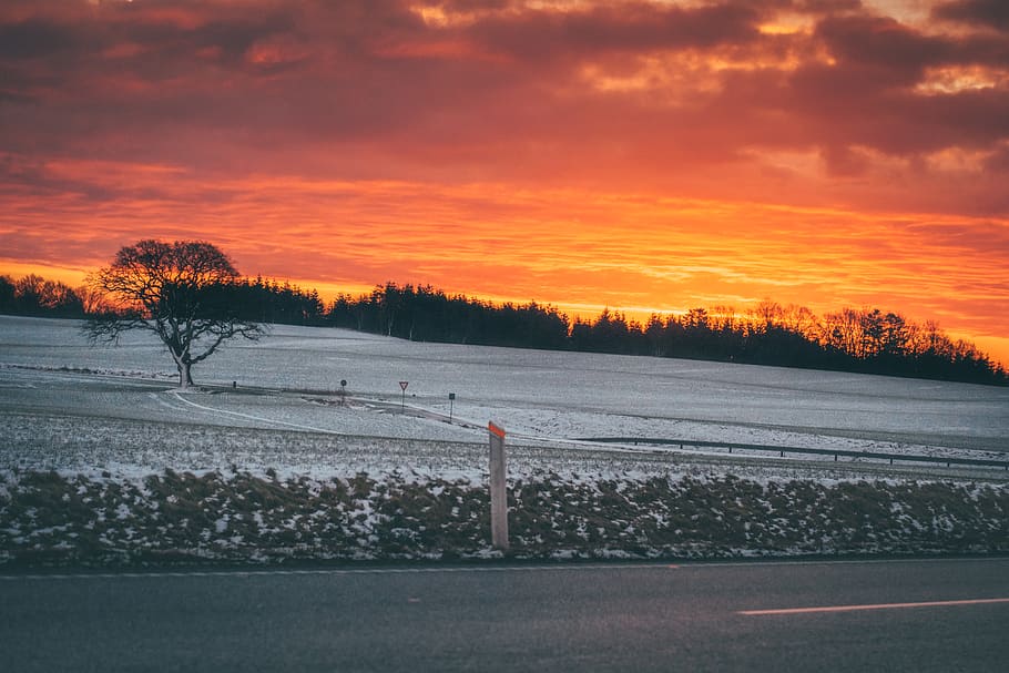 denmark, bredsten, nature, snow, tree, road, orange, sky, trees HD wallpaper