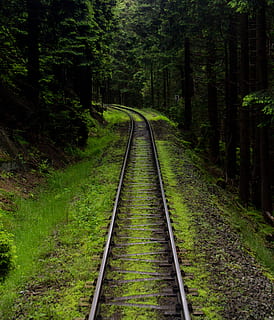 germany, wernigerode, brocken, train, tracks, forest, rails HD wallpaper