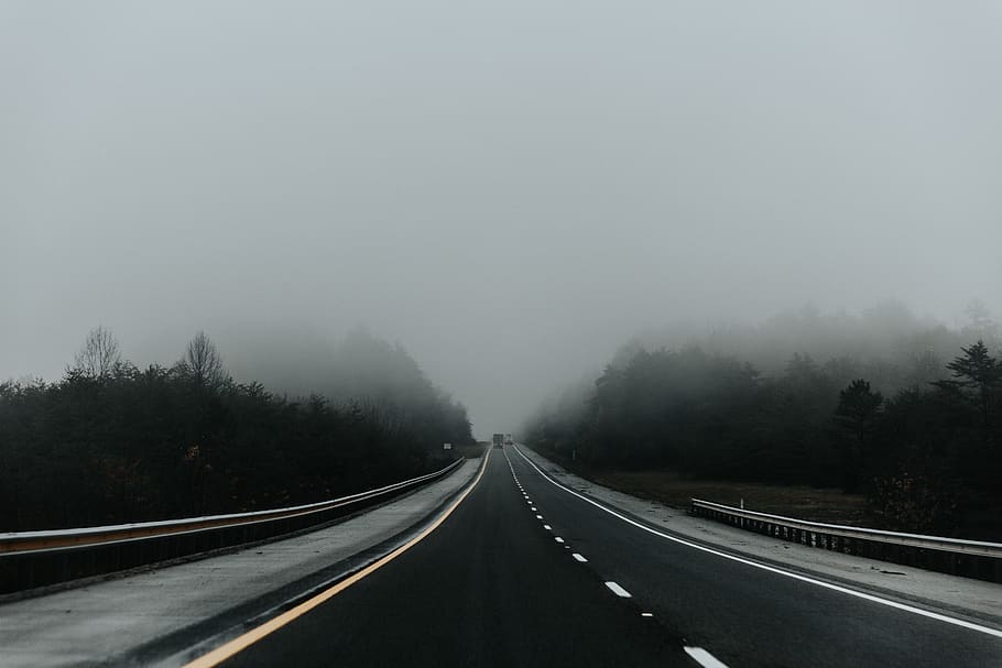 trees near road, highway, fog, nature, asphalt, tarmac, mist HD wallpaper