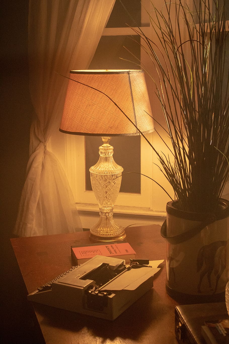 lamp, typewriter, desk, scene, nighttime, plant, indoors, vase HD wallpaper
