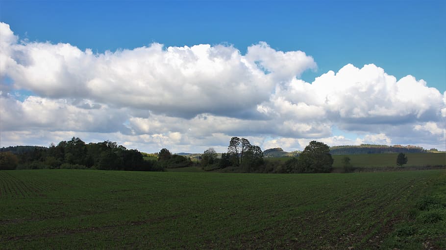 sky, landscape, cloud - sky, environment, plant, grass, scenics - nature HD wallpaper