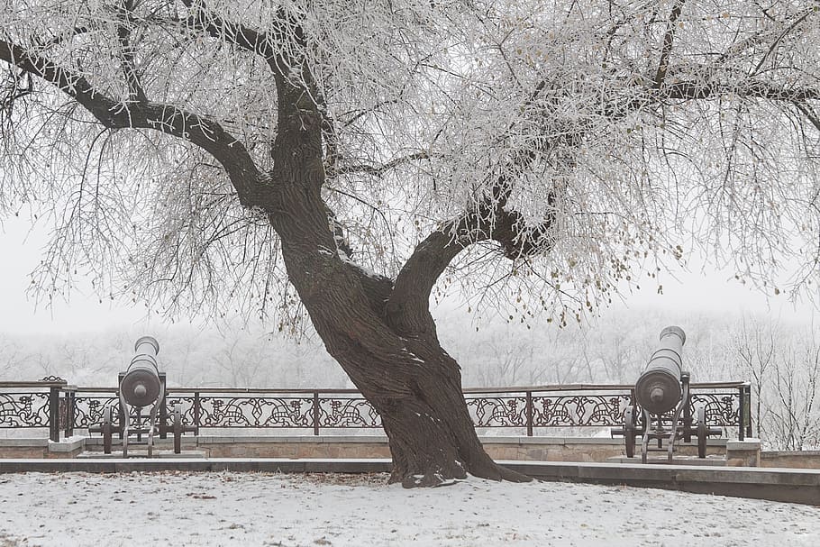 cannon, winter, snow, cold, white, panorama, silence, history HD wallpaper