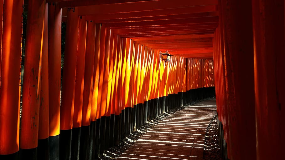 japanese, fushimi inari, shrine, travel, kyoto, light, solitude
