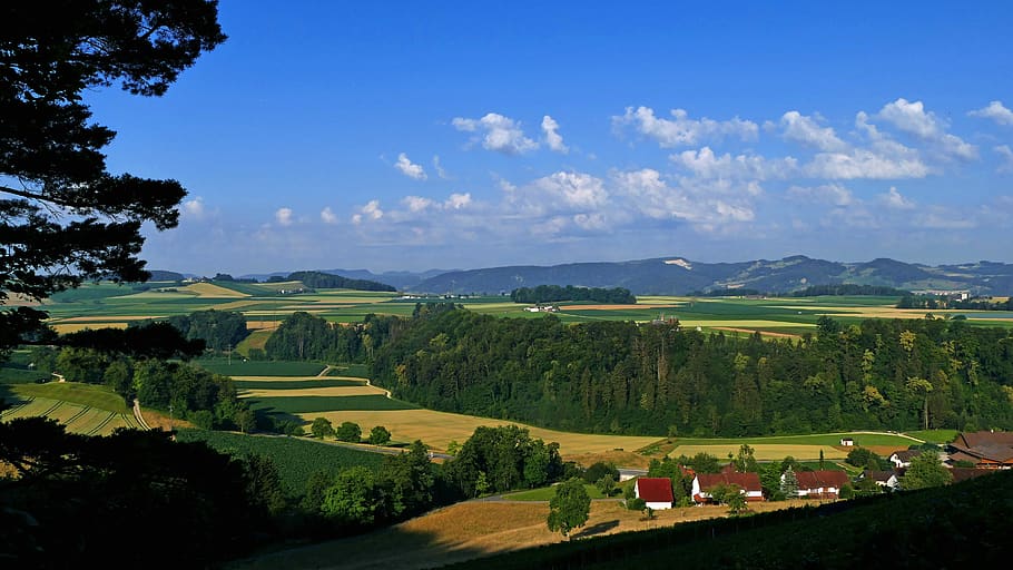 landscape, switzerland, aargau, vineyard, agriculture, view, HD wallpaper