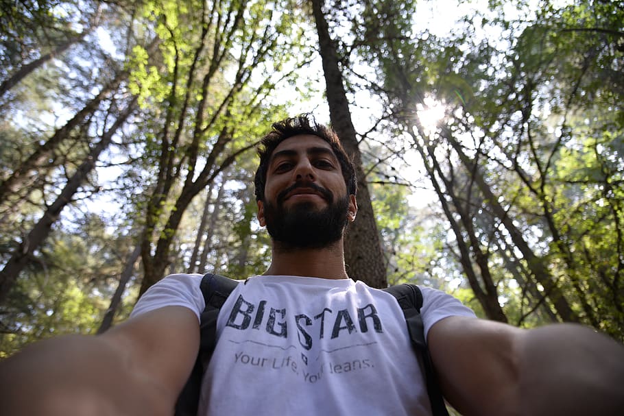 lebanon, one person, tree, adult, plant, portrait, forest, nature HD wallpaper