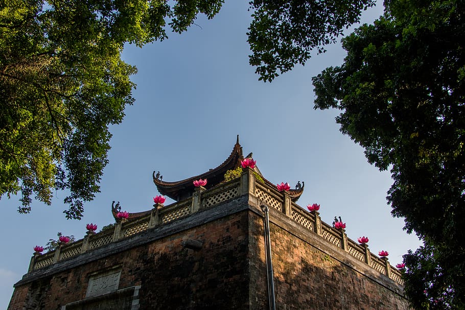 architecture, building, shrine, temple, pagoda, worship, bird HD wallpaper