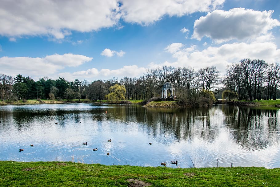 germany, magdeburg, adolf-mittag-see, lake, ducks, sky, trees, HD wallpaper