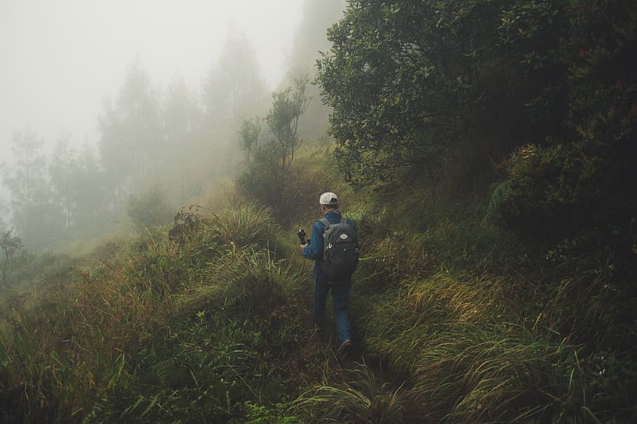 explorer, journey, nature, majestic, mystic, folk, outdoor HD wallpaper