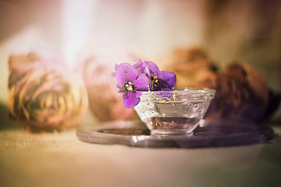 flower, table, candle, no one, food, background, ease, cup HD wallpaper
