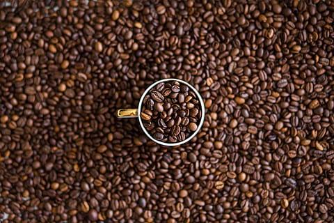 coffee, beans, coffee beans, cocoa, caffeine, starbucks, costa HD wallpaper