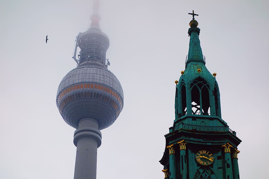 Tower birds