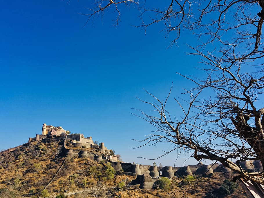 Bare Tree Photo, ancient, architecture, branches, castle, clear sky HD wallpaper