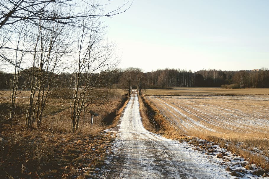 sweden, field, winter, tree, trees, forest, sky, road, landscape HD wallpaper