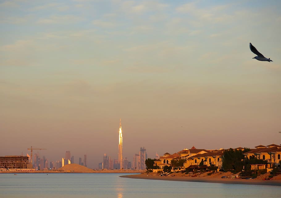 dubai, united arab emirates, the palm jumeirah, sunset, uae