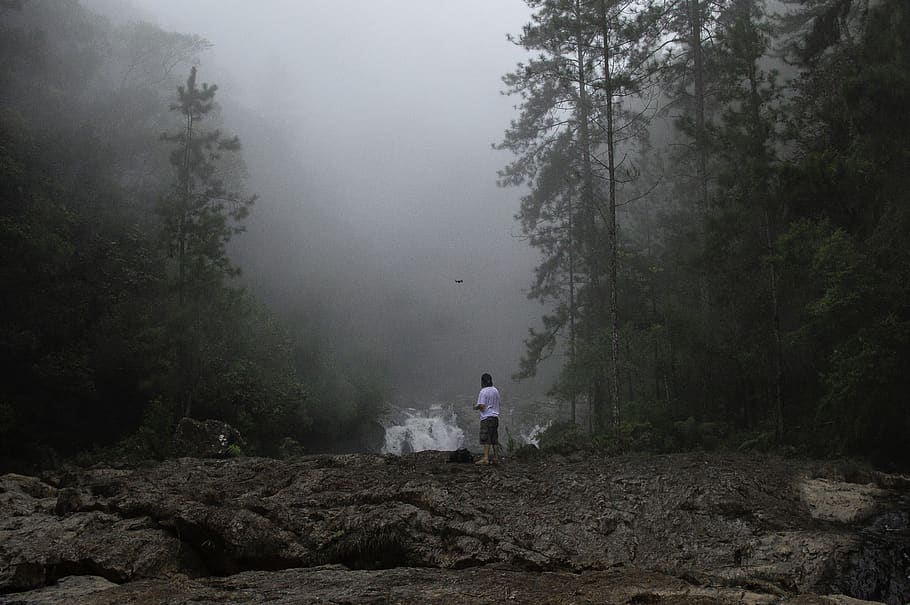 Lanscape, clouds, daylight, environment, fog, foggy, forest, landscape HD wallpaper