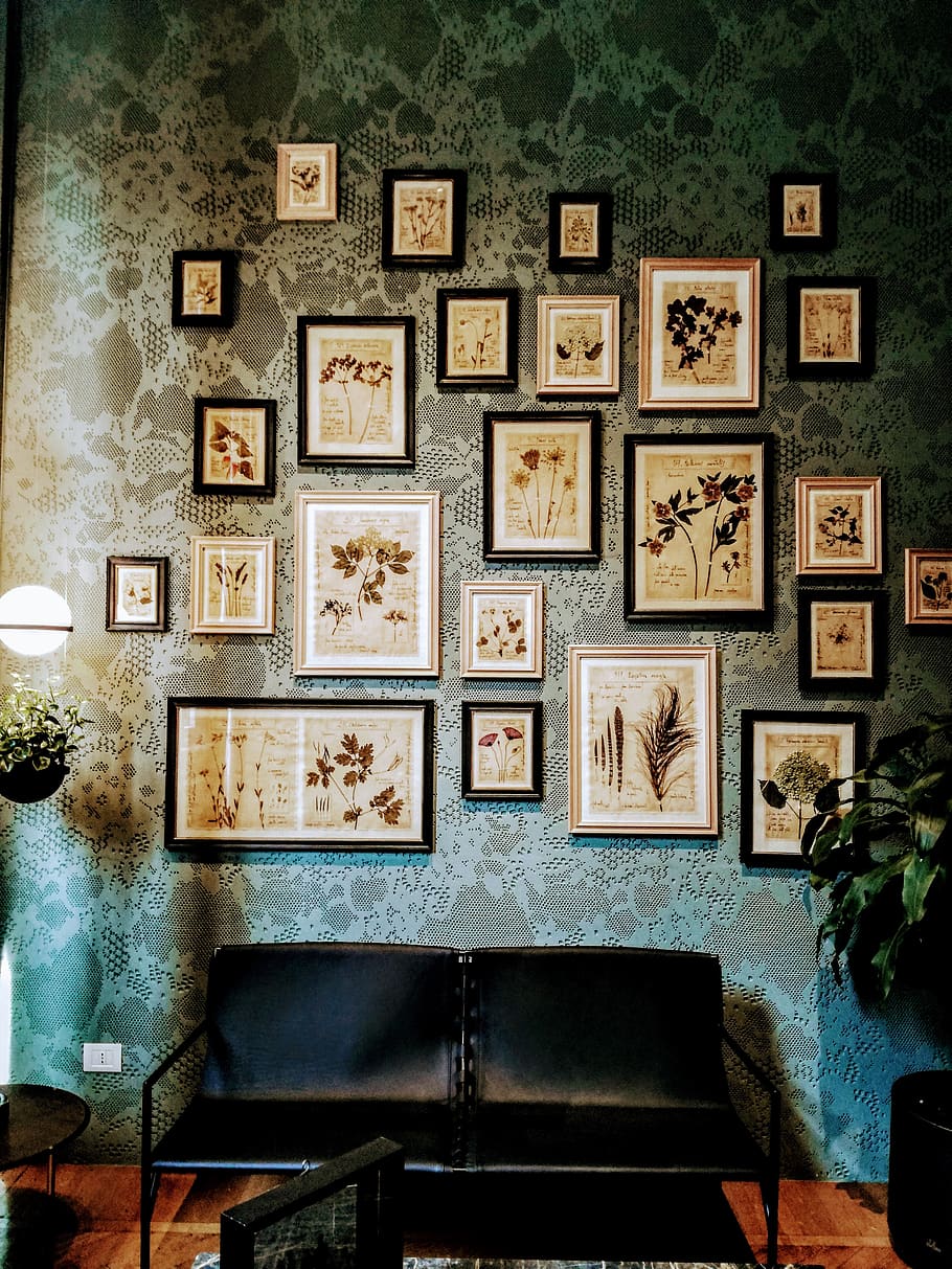 italy, milano, via tortona, flowers, old, waiting room, inspiration, HD wallpaper