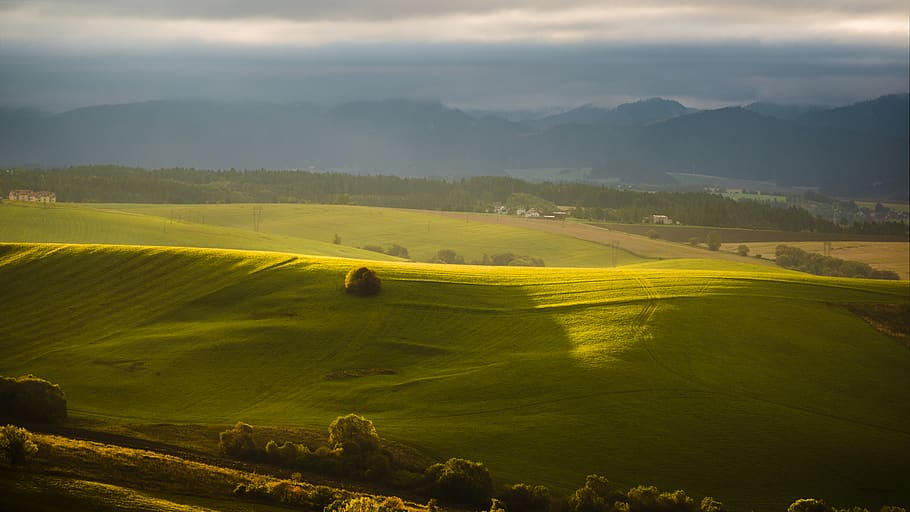 plain grass field on hill, landscape, scenics - nature, tranquil scene HD wallpaper