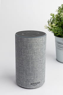 gray Amazon Echo portable speaker, cylinder, rug, jar, plant HD wallpaper