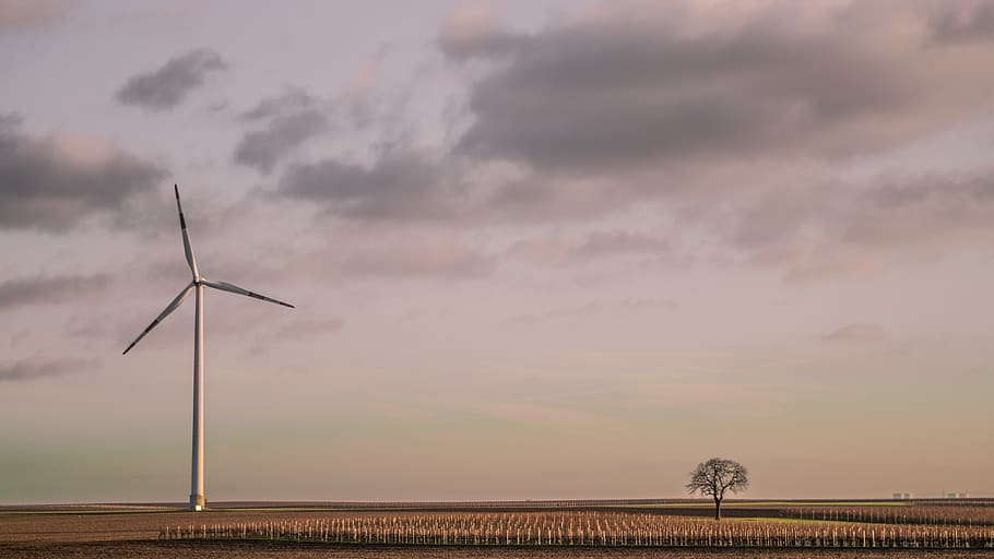 A lone windmill in a field with one tree., germany, worms, vineyards HD wallpaper