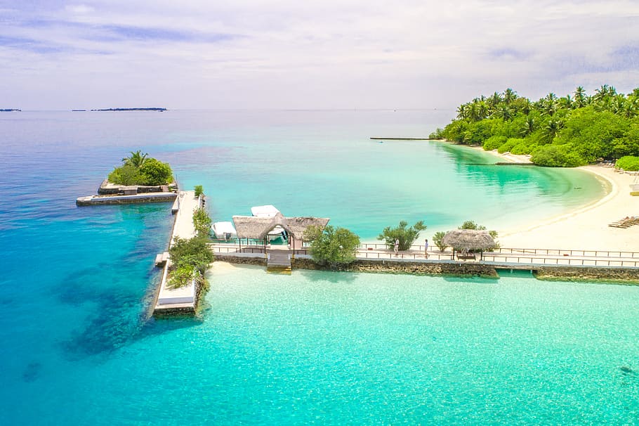 Aerial Photography of Seashore, daylight, dock, high angle shot HD wallpaper