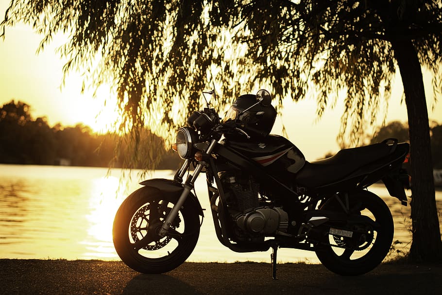 motorcycle, suzuki gs500, lake, sunset, landscape, in the evening