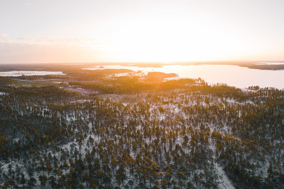 high-angle view of trees, sky, sunset, scenics - nature, tranquility HD wallpaper