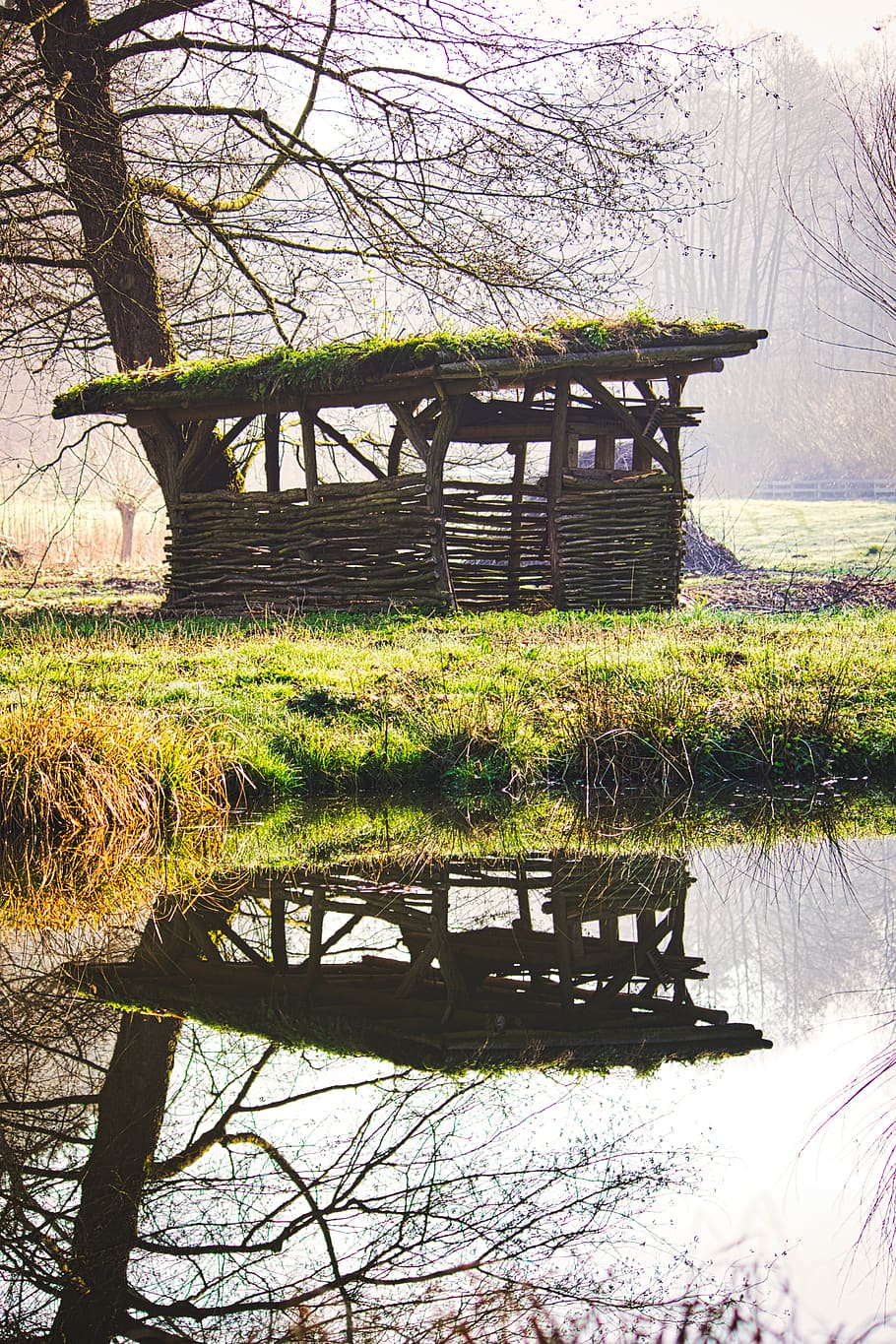 pond, stall, flock, farm, pools, agriculture, barn, forest HD wallpaper