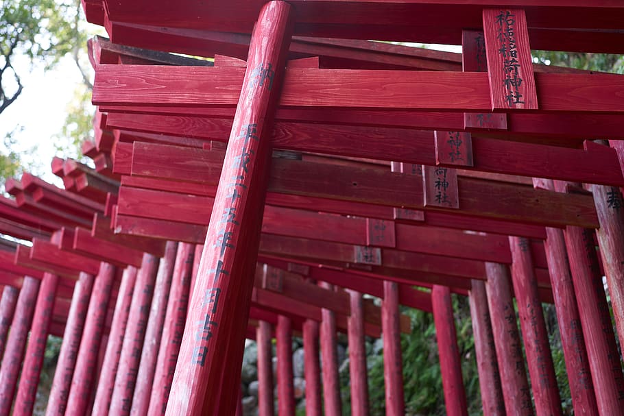 yutoku inari shrine, traditional, torii, japan, red, built structure