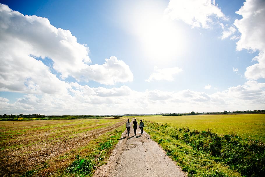 three person walking on pathway, human, nature, outdoors, sky HD wallpaper