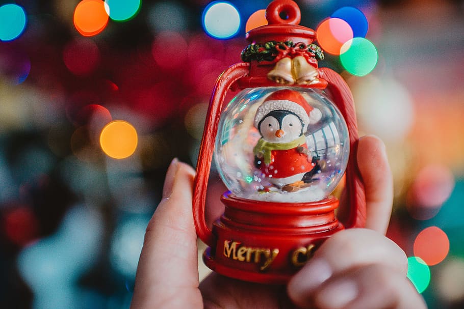 penguin snow globe, person, human, finger, sweets, food, confectionery HD wallpaper