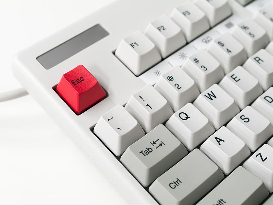 Close-up of Computer Keyboard, button, connection, equipment HD wallpaper