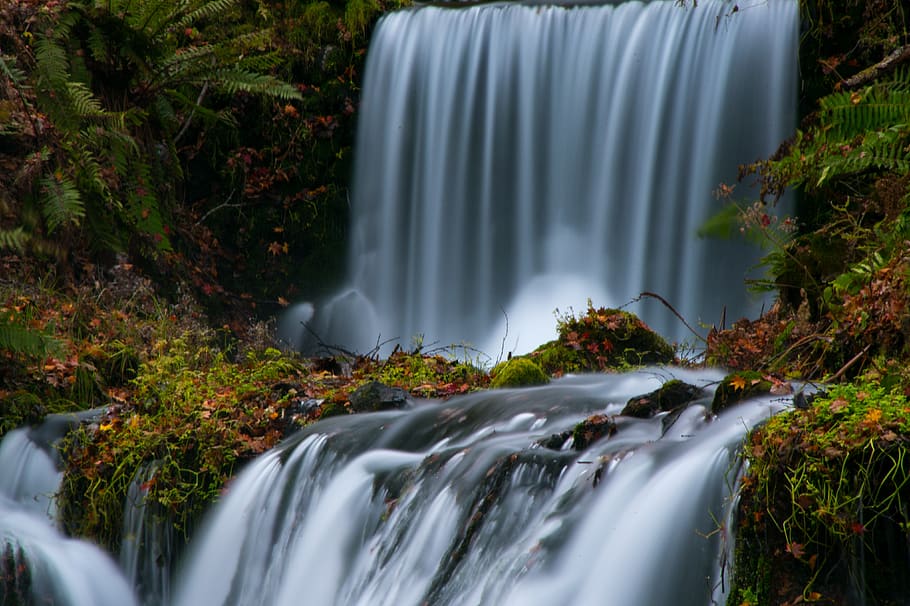 waterfall, river, motion, long exposure, plant, blurred motion HD wallpaper