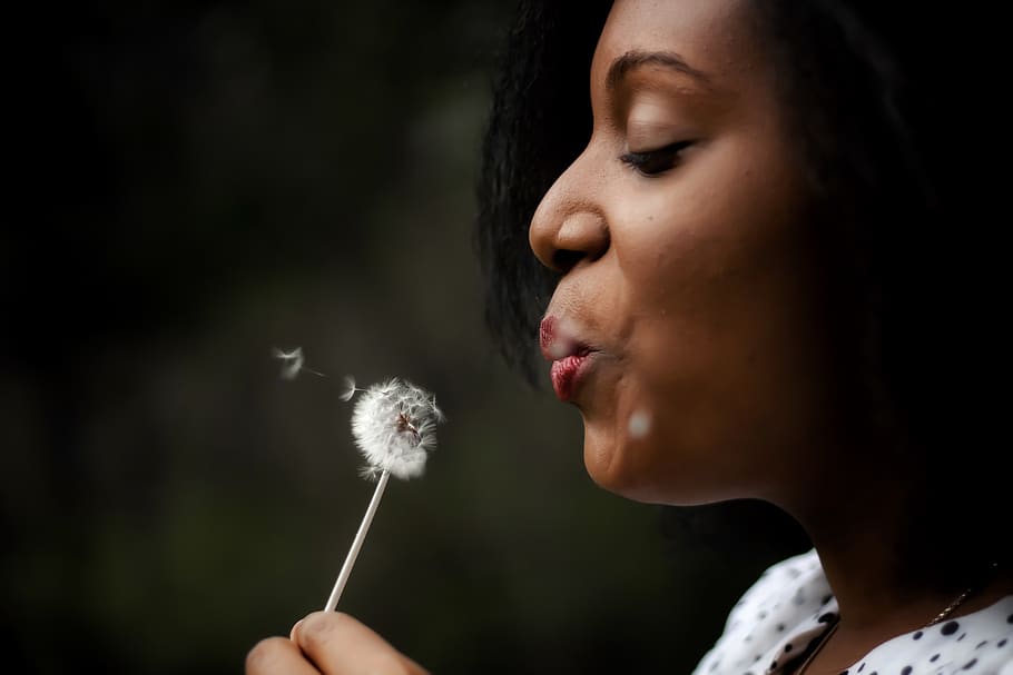 woman in white top blowing dandelion, person, human, plant, blossom, HD wallpaper