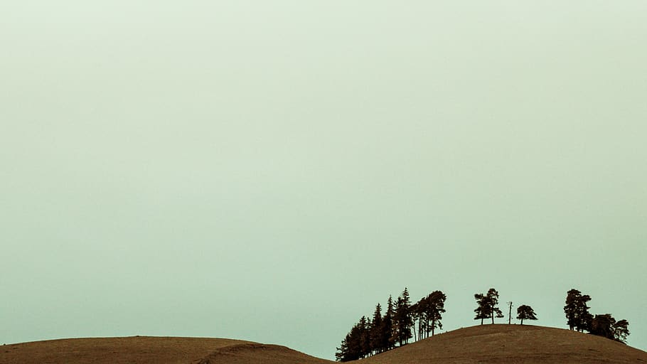 mountain and trees under white sky, plant, nature, outdoors, grassland HD wallpaper