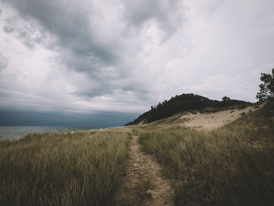 pathway between green grass, field, outdoors, grassland, landscape HD wallpaper