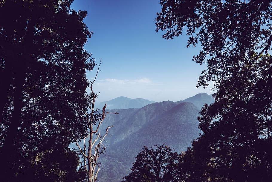 green plant covered mountain, tree, sky, scenics - nature, beauty in nature HD wallpaper